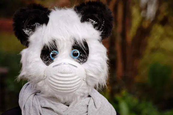 Casino Hot Line Assistance